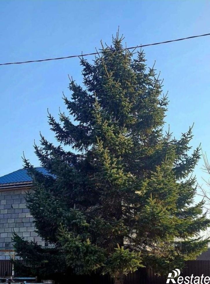 2-комн квартира ул Дзержинского, 84,  д. 84