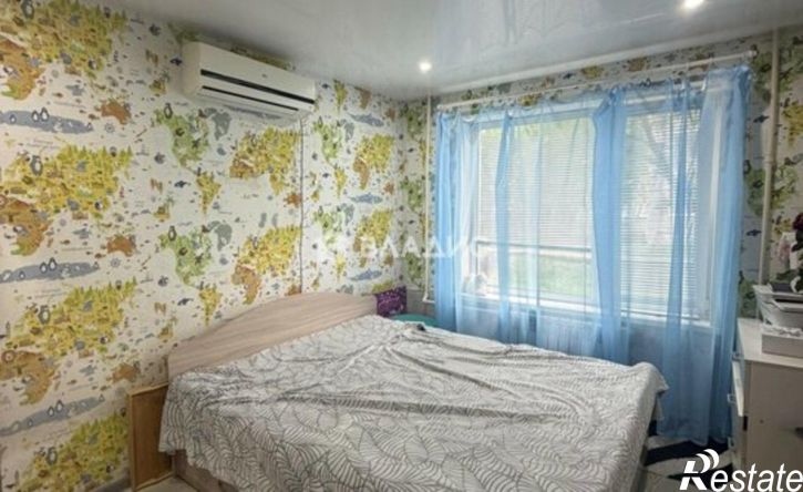 2-комн квартира Уссурийский городской округ, село Борисовка, Новая улица, 2А