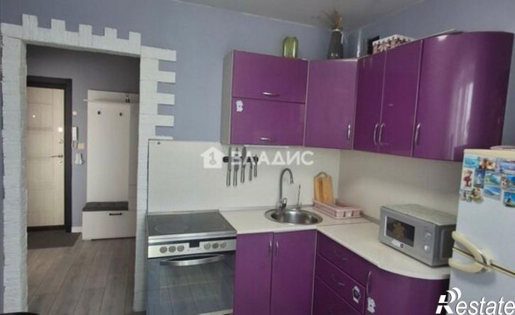 1-комн квартира ул Андрея Кушнира, 10,  д. 10