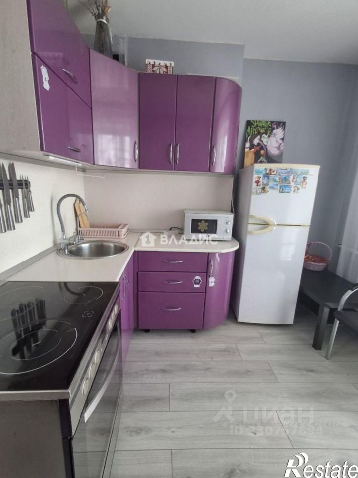 1-комн квартира ул Андрея Кушнира, 10,  д. 10
