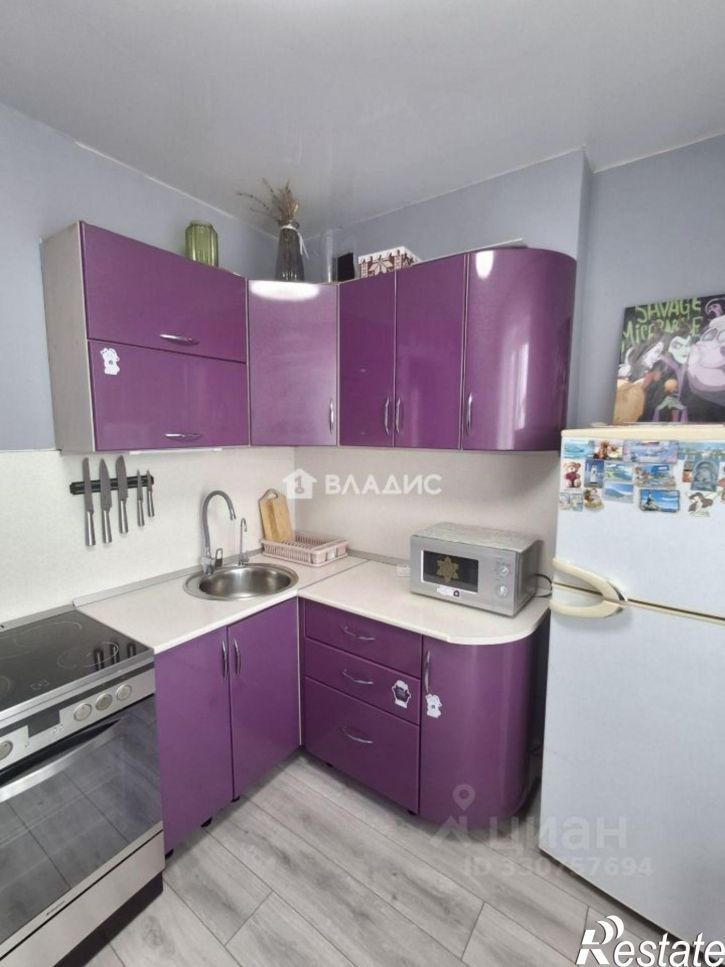1-комн квартира ул Андрея Кушнира, 10,  д. 10